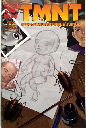 [TMNT: Teenage Mutant Ninja Turtles Volume 4, Number 22]