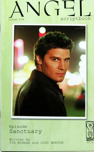 [Angel Scriptbook #6: "Sanctuary" (photo cover)]