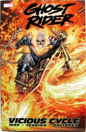 [Ghost Rider (series 6) Vol. 1: Vicious Cycle (SC)]