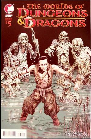 [Worlds of Dungeons & Dragons Issue 5 (Cover A - Vince Locke)]