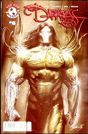 [Darkness Vol. 3, Issue #6 (Cover B - Stjepan Sejic)]