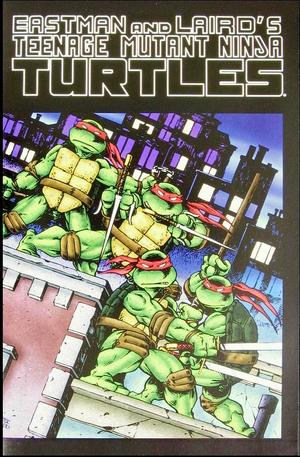[Teenage Mutant Ninja Turtles Color Special Number 1]