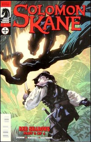 [Solomon Kane - Red Shadows #3 (variant cover - Gregory Manchess)]