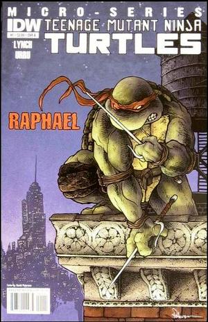 [Teenage Mutant Ninja Turtles Micro-Series #1: Raphael (1st printing, Cover A - David Petersen)]