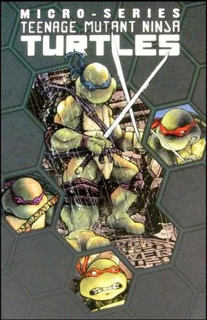 [Teenage Mutant Ninja Turtles Micro-Series Vol. 1 (SC)]