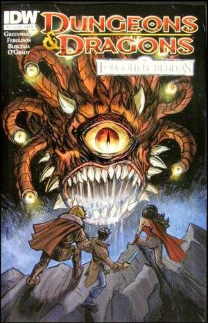 [Dungeons & Dragons: Forgotten Realms #2 (Cover B - Steve Ellis)]
