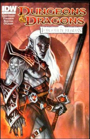 [Dungeons & Dragons: Forgotten Realms #4 (Cover B - Steve Ellis)]