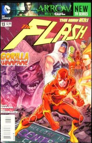 [Flash (series 4) 13 (standard cover)]
