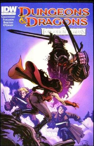 [Dungeons & Dragons: Forgotten Realms #5 (Cover B - Steve Ellis)]