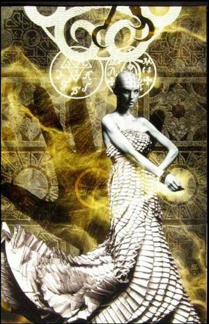 [Hellraiser #20 (Cover C - Tim Bradstreet Virgin Retailer Incentive)]