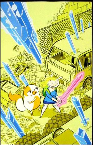 [Adventure Time with Fionna & Cake #1 (1st printing, Cover D - Ethan Rilly Retailer Incentive)]