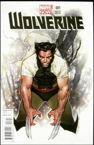[Wolverine (series 5) No. 1 (variant cover - Olivier Coipel)]