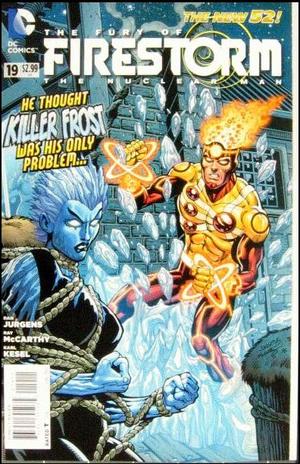 [Fury of Firestorm - the Nuclear Men 19]