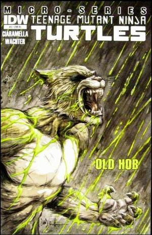 [Teenage Mutant Ninja Turtles Villain Micro-Series #3: Old Hob (retailer incentive cover - Dave Wachter)]
