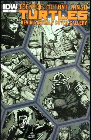 [Teenage Mutant Ninja Turtles Kevin Eastman Cover Gallery]