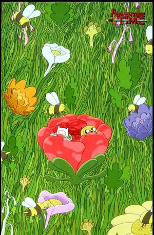 [Adventure Time #27 (Cover C - Tom Hunter Retailer Incentive)]