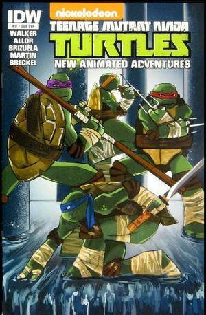[Teenage Mutant Ninja Turtles New Animated Adventures #17 (variant subscription cover - Tanna Tucker)]