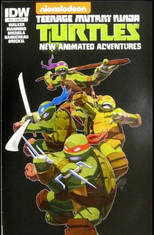 [Teenage Mutant Ninja Turtles New Animated Adventures #18 (variant subscription cover - Jeffrey Cruz)]