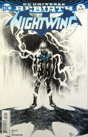 [Nightwing (series 4) 14 (variant cover - Ivan Reis)]