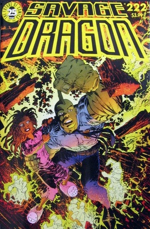 [Savage Dragon (series 2) #222 (regular cover)]