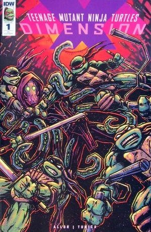 [Teenage Mutant Ninja Turtles: Dimension X #1 (Retailer Incentive Cover - Kevin Eastman, turtles fighting)]