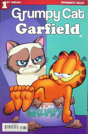 [Grumpy Cat / Garfield #1 (Cover C - Fernando Ruiz)]