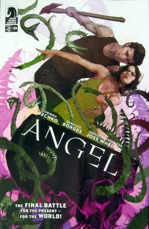 [Angel Season 11 #12 (regular cover - Scott Fischer)]
