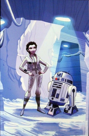 [Star Wars: Forces of Destiny #1: Leia (Retailer Incentive Cover A - Animation Art)]