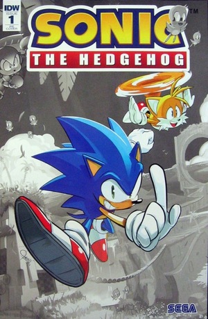 [Sonic the Hedgehog (series 2) #1 (1st printing, Retailer Exclusive Diamond Summit 2018 cover - Tyson Hesse)]