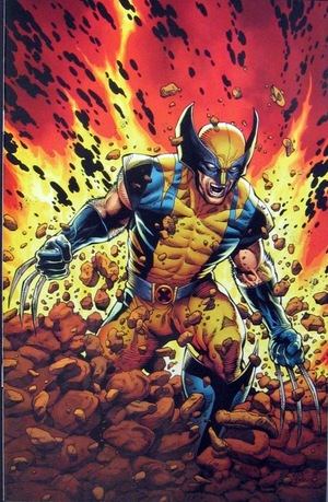 [Return of Wolverine No. 1 (1st printing, variant virgin cover - Steve McNiven, current costume)]