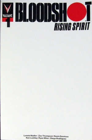 [Bloodshot - Rising Spirit #1 (1st printing, Cover C - blank)]