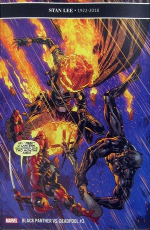 [Black Panther Vs. Deadpool No. 3 (standard cover - Ryan Benjamin)]
