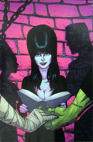 [Elvira Mistress of the Dark (series 2) #4 (Cover E - Craig Cermak Virgin Incentive)]