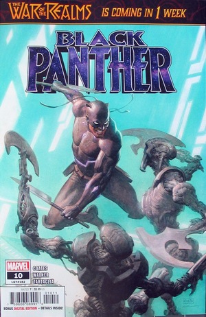 [Black Panther (series 7) No. 10 (standard cover - Paolo Rivera & Daniel Acuna)]