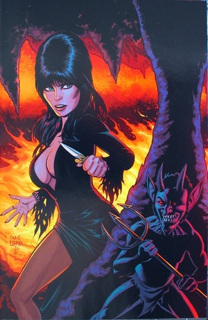 [Elvira Mistress of the Dark (series 2) #8 (Cover E - Craig Cermak Virgin Incentive)]