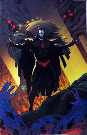 [Powers of X No. 5 (1st printing, variant virgin cover - R. B. Silva)]