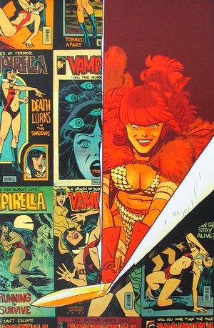 [Vampirella / Red Sonja #2 (Retailer Incentive Virgin Cover - Leonardo Romero & Jordie Bellaire)]