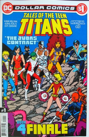 [Tales of the Teen Titans Annual 3 (Dollar Comics edition)]