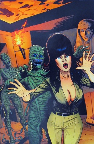 [Elvira Mistress of the Dark (series 2) #11 (Retailer Incentive Virgin Cover - Craig Cermak)]