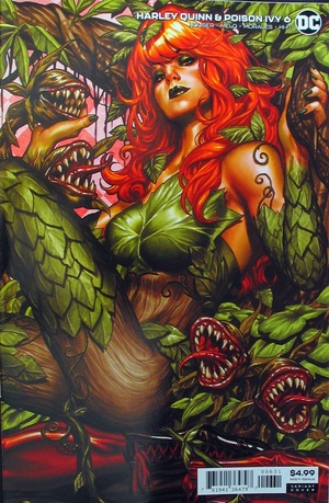 [Harley Quinn & Poison Ivy 6 (variant connecting cardstock Poison Ivhy cover - Mark Brooks)]