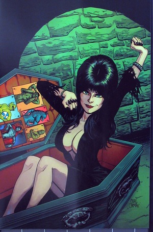 [Elvira Mistress of the Dark (series 2) #12 (Retailer Incentive Virgin Cover - Craig Cermak)]