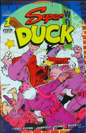 [Super Duck #1 (Cover C - Andy Fish)]