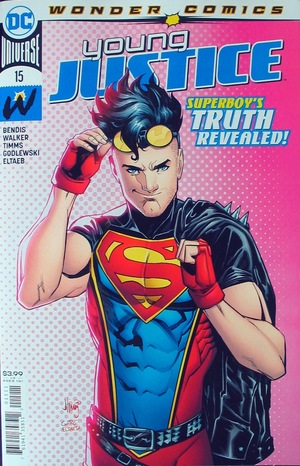 [Young Justice (series 3) 15 (standard cover - John Timms)]