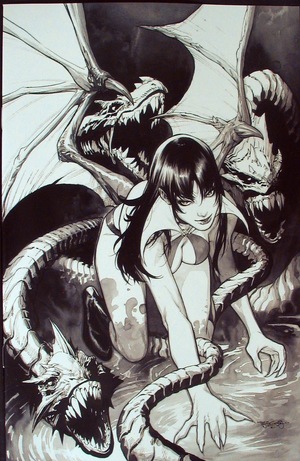 [Vengeance of Vampirella (series 2) #17 (Premium B&W Virgin Cover - Stephen Segovia)]