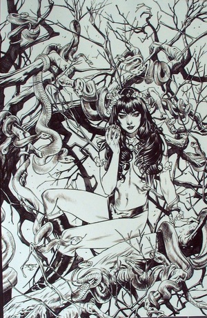 [Vengeance of Vampirella (series 2) #19 (Bonus FOC Incentive B&W Virgin Cover - Michael Santamaria)]