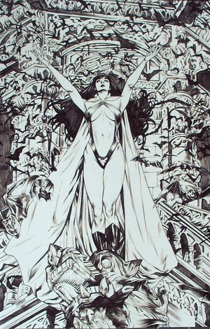 [Vengeance of Vampirella (series 2) #20 (Cover L - Michael Santamaria B&W Virgin Incentive)]