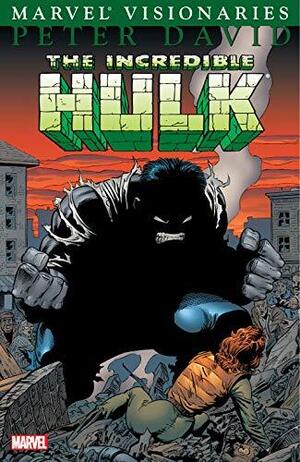 [Incredible Hulk Visionaries: Peter David Vol. 1 (SC)]