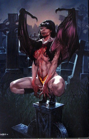 [Vengeance of Vampirella (series 2) #23 (Cover L - Michael Santamaria Virgin Incentive)]