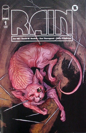 [Joe Hill's Rain #1 (variant cover - Renae Deliz)]