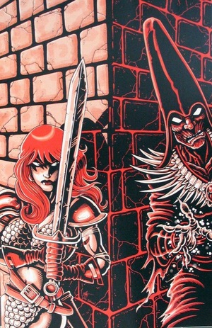 [Red Sonja (series 9) Issue #6 (Cover P - Ken Haeser TMNT Homage Full Art Incentive)]